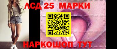 гидропоника Новозыбков