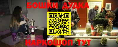 гидропоника Новозыбков