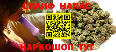 гидропоника Новозыбков