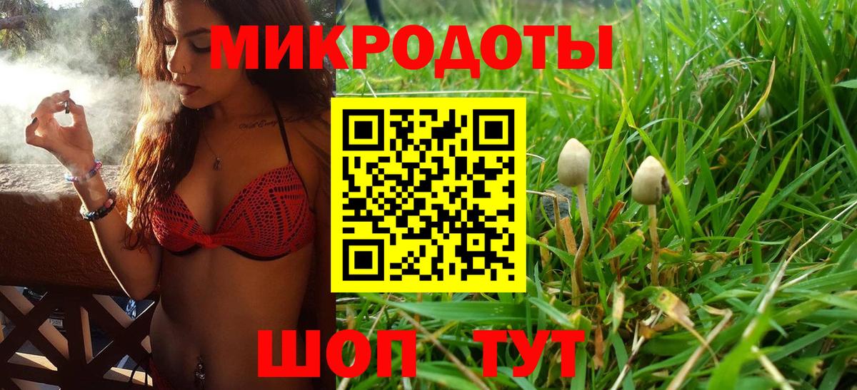 Прокопьевск  купить наркотики цена  Вход с VPN  Псилоцибиновые грибы Psilocybe 