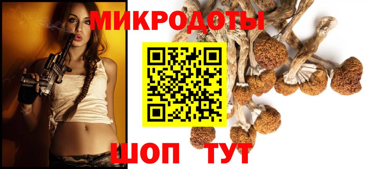 Галлюциногенные грибы Psilocybine cubensis Прокопьевск